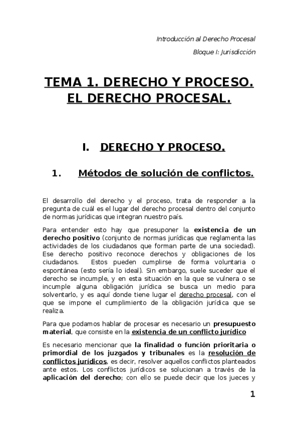 Miniatura del documento TEMA-1-DERECHO-Y-PROCESO.docx
