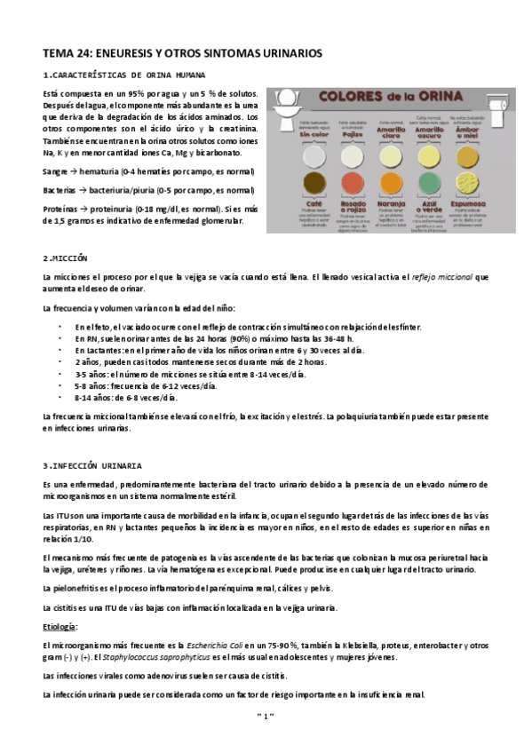Miniatura del documento Tema-24-eneuresis-y-otros-sintomas-urinarios.pdf
