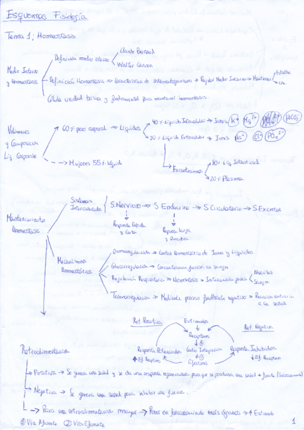 Miniatura del documento Fisiologia-AnaQuintero-1-58.pdf