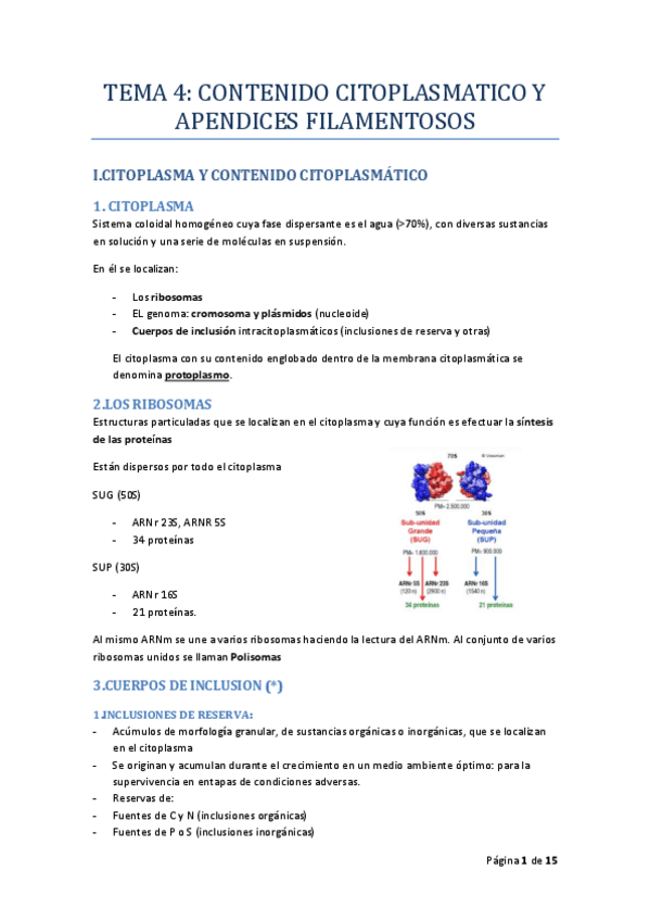 Miniatura del documento TEMA_04_MICRO_I_RODELAS.pdf