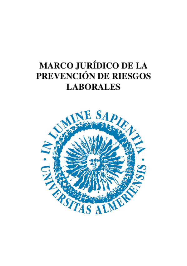 Miniatura del documento INFORME-LPRL.docx