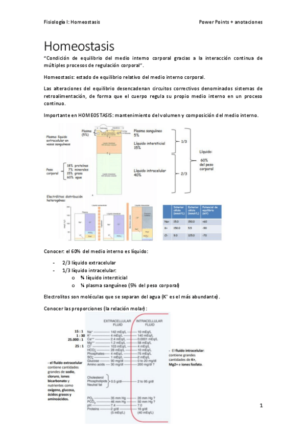 Miniatura del documento 1.pdf