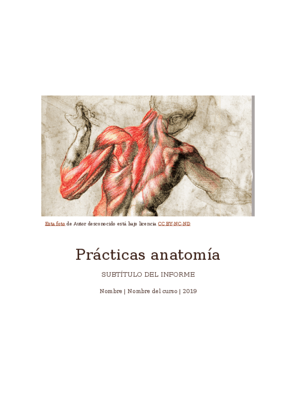 Miniatura del documento Apuntes-Practicas-1-y-5-anatomia.docx