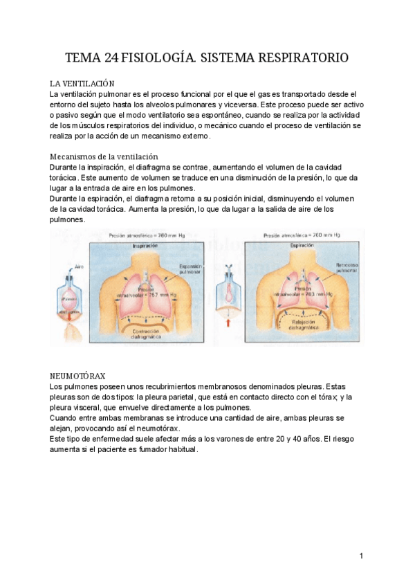 Miniatura del documento TEMA-24-FISIOLOGIA.pdf
