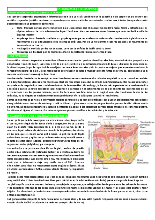 Miniatura del documento TEMA-9.pdf