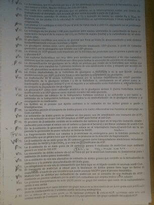 Miniatura del documento 1359815149993 (1).jpg