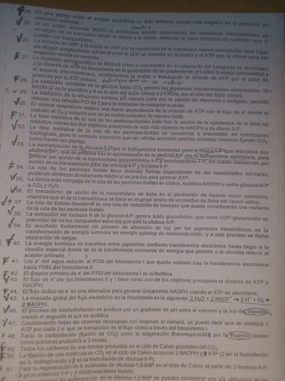 Miniatura del documento IMG-20130202-WA0002 (1).jpg