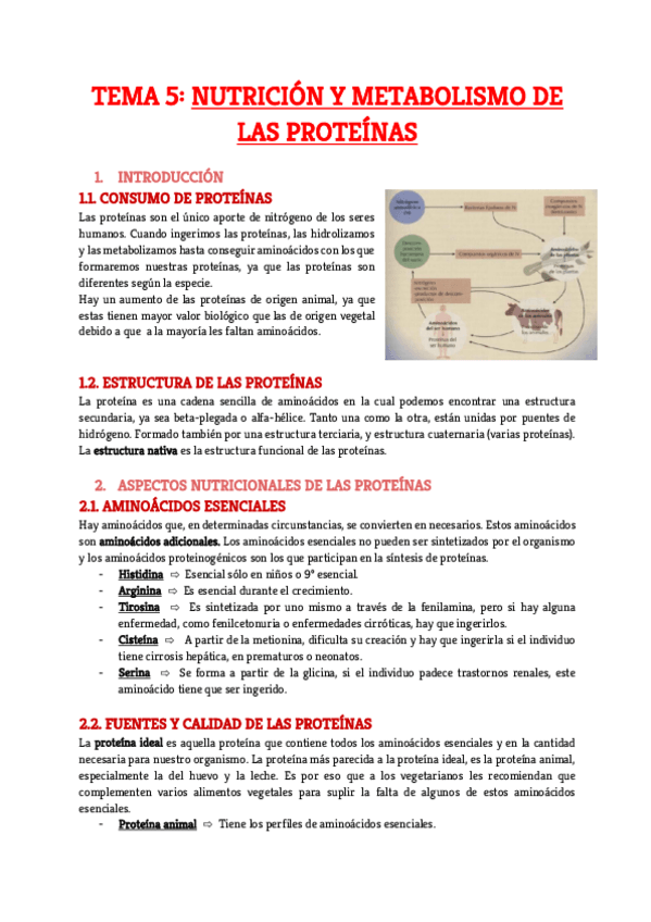 Miniatura del documento Tema-5.pdf