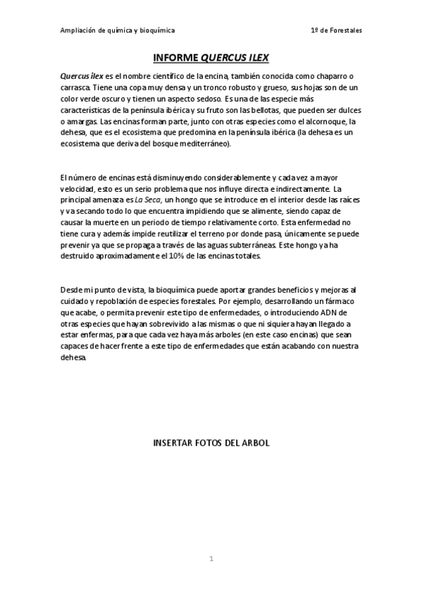 Miniatura del documento INFORME-CONFERENCIAS-BQ.pdf