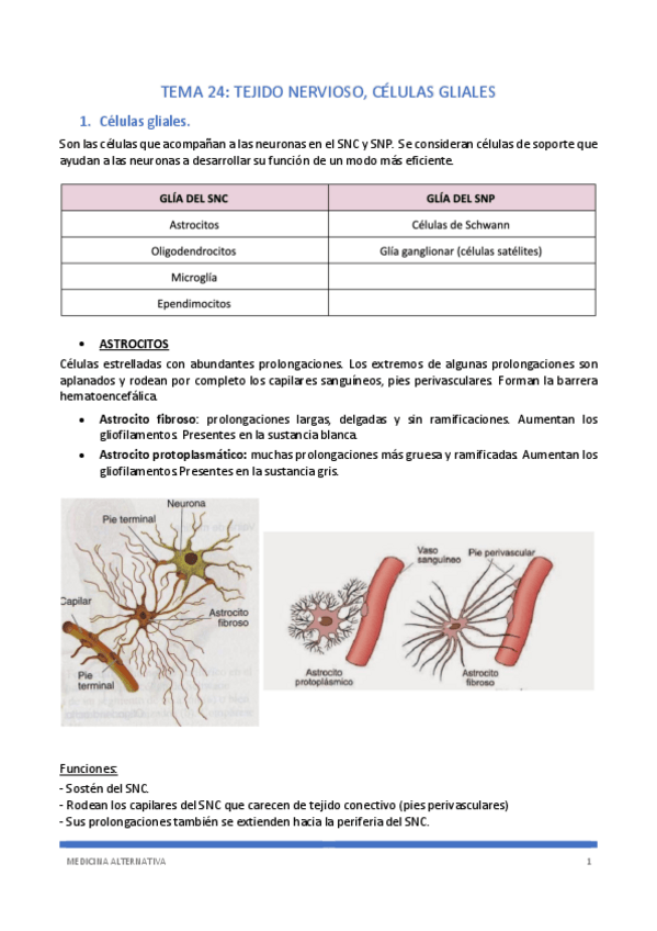 Miniatura del documento TEMA-24.pdf