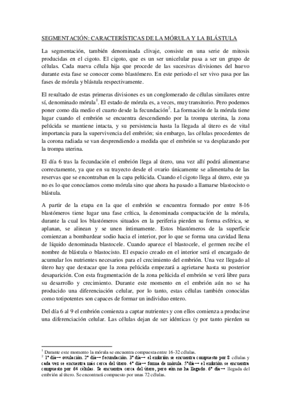 Miniatura del documento SEGMENTACION.pdf