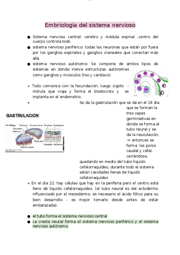 Miniatura del documento Embriologia-del-sistema-nervioso.docx