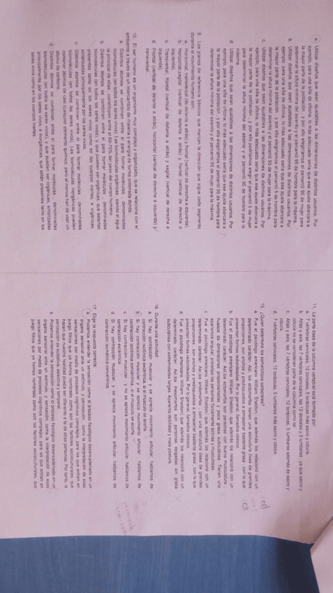 Miniatura del documento IMG-20191114-WA0009.jpg