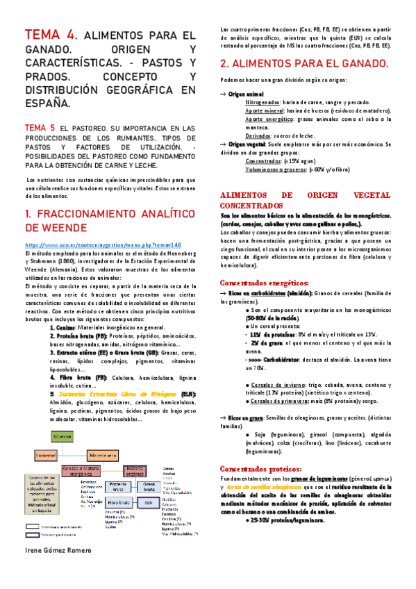 Miniatura del documento TEMA-4-Y-5.pdf