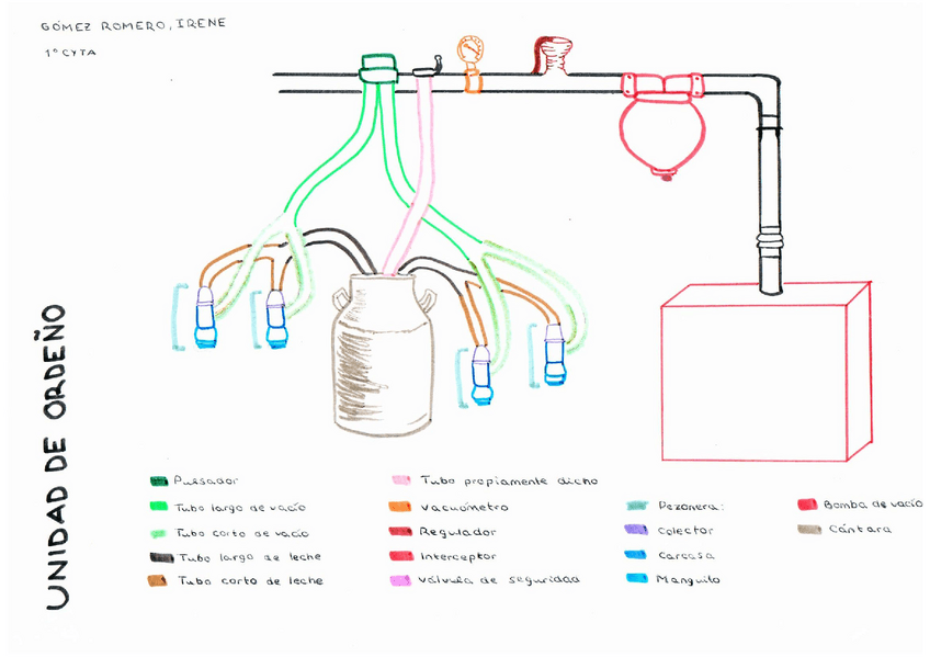 Miniatura del documento PRACTICA-ORDENADORA.pdf
