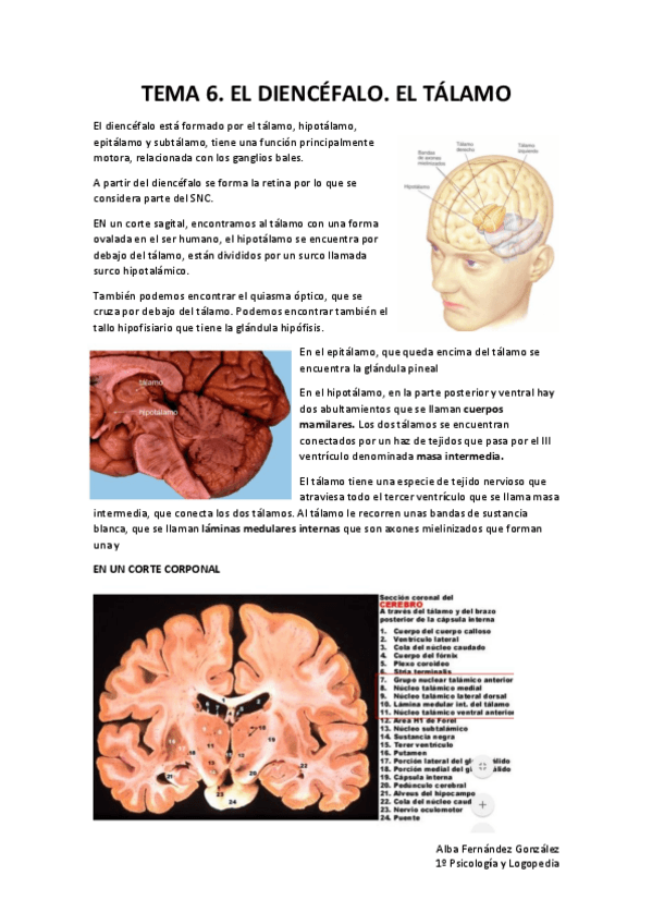 Miniatura del documento TEMA-6.pdf