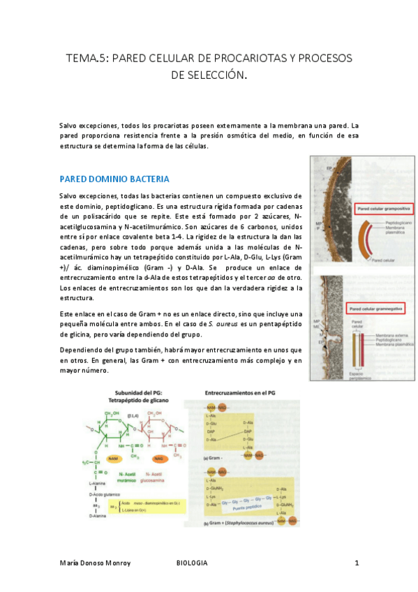 Miniatura del documento Revision-de-MICRO-I-T.pdf