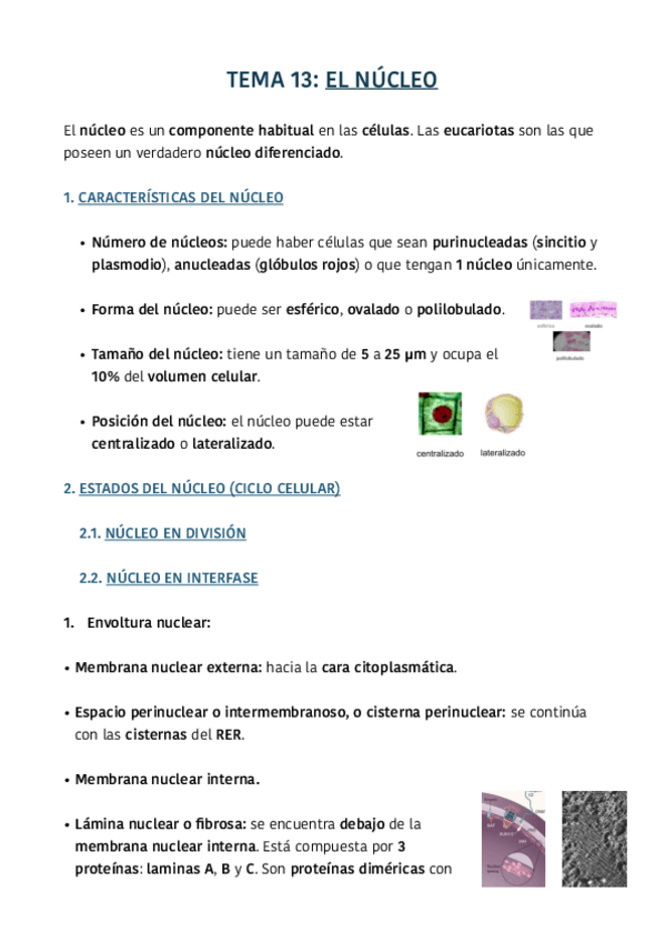 Miniatura del documento TEMA-13.pdf