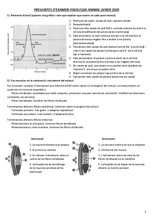 Miniatura del documento Examen-Fisio-Animal.pdf