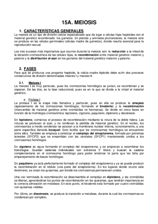 Miniatura del documento 15A MEIOSIS