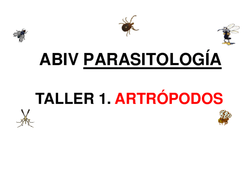 Miniatura del documento EXAMEN-TALLERES-sin-respuestas-para-corregirse222.pdf