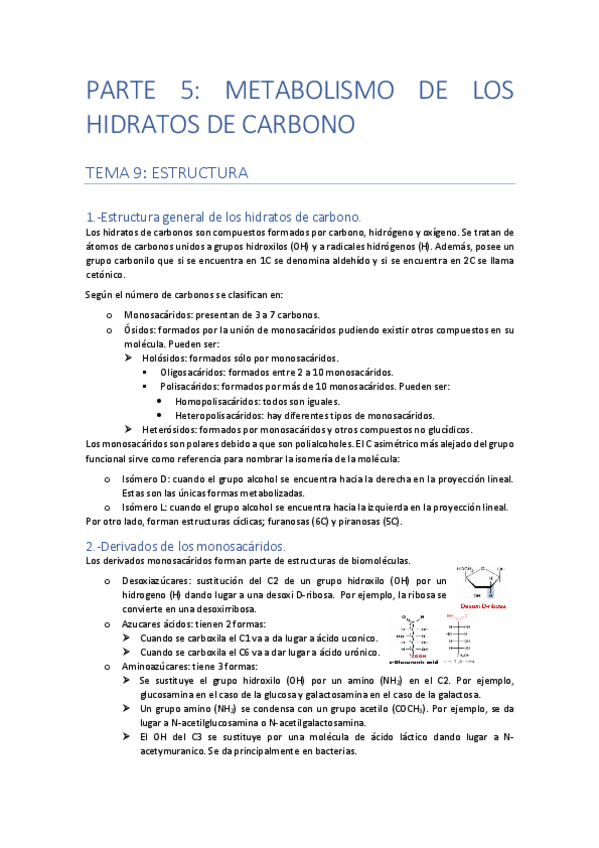 Miniatura del documento PARTE-5-METABOLISMO-DE-LOS-HIDRATOS-DE-CARBONO.pdf