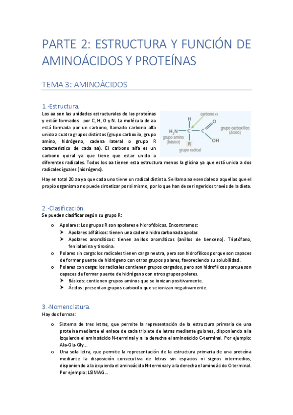 Miniatura del documento PARTE-2-ESTRUCTURA-Y-FUNCION-DE-AA-Y-PROTEINAS.pdf