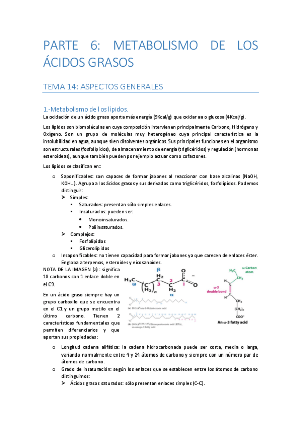 Miniatura del documento PARTE-6-METABOLISMO-DE-LOS-ACIDOS-GRASOS.pdf
