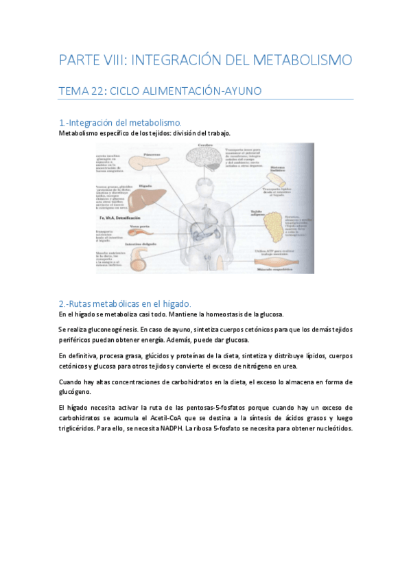 Miniatura del documento PARTE-8-INTEGRACION-DEL-METABOLISMO.pdf