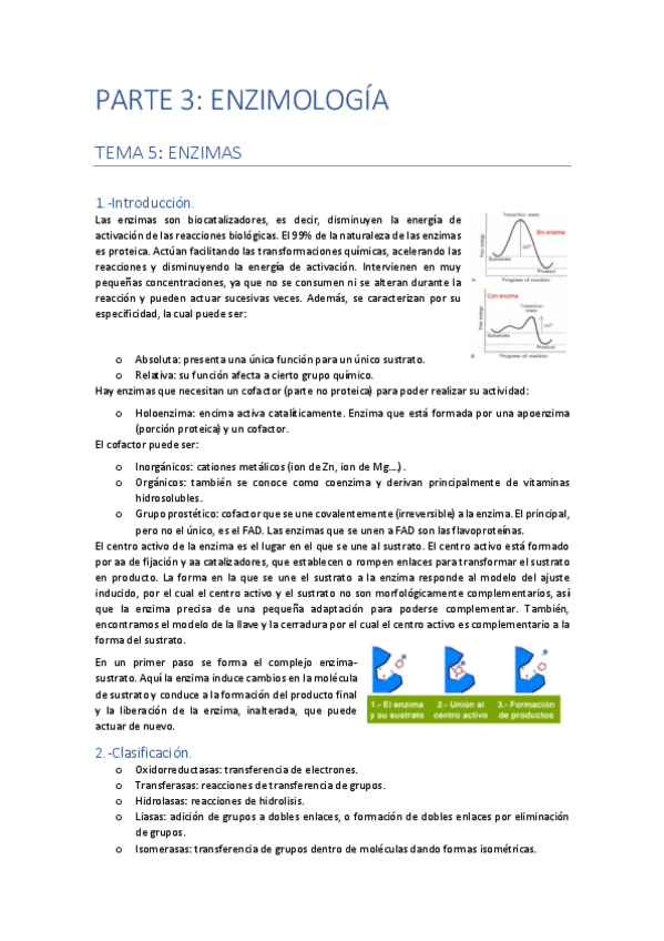 Miniatura del documento PARTE-3-ENZIMOLOGIA.pdf