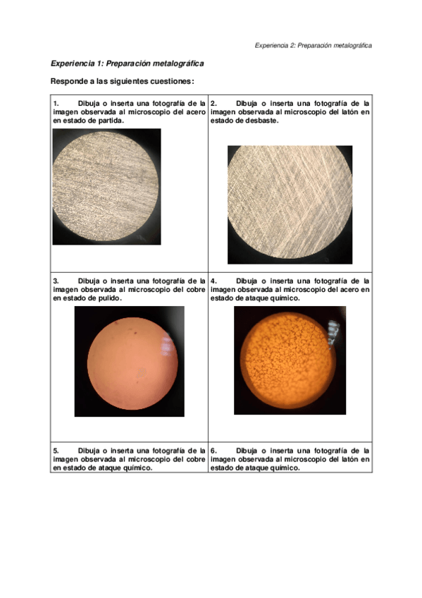 Miniatura del documento EXP02PL1A.docx