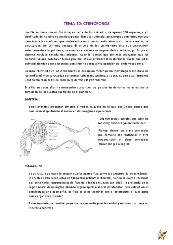 Miniatura del documento Ctenoforos.pdf