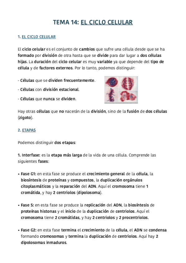 Miniatura del documento TEMA-14.pdf