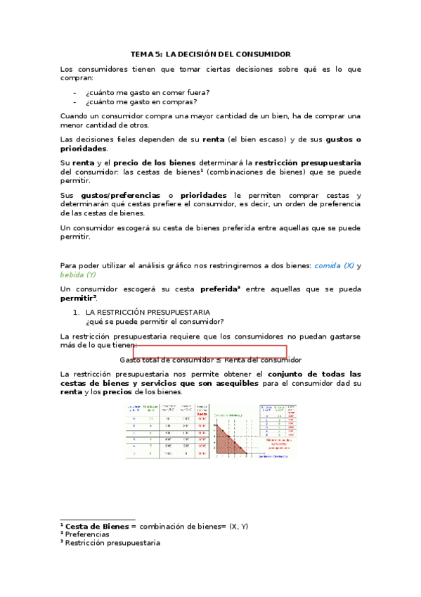 Miniatura del documento 5-LA-DECISION-DEL-CONSUMIDOR.docx