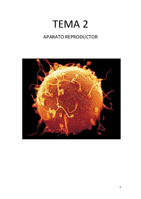 Miniatura del documento Tema-2.pdf
