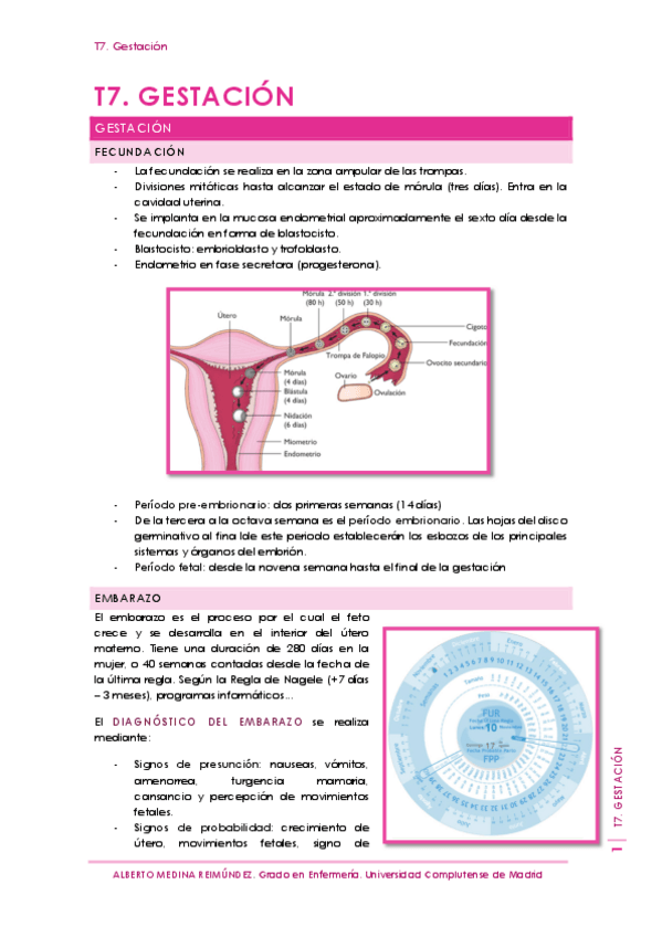 Miniatura del documento T7. Gestación.pdf