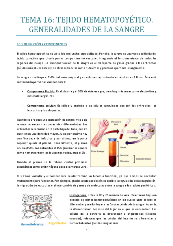 Miniatura del documento TEMA-16.pdf