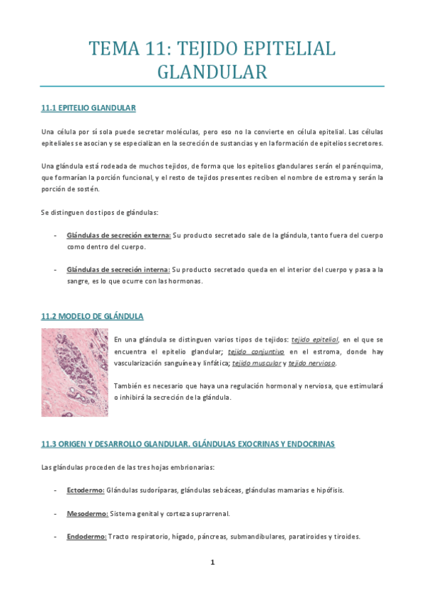 Miniatura del documento TEMA-11.pdf