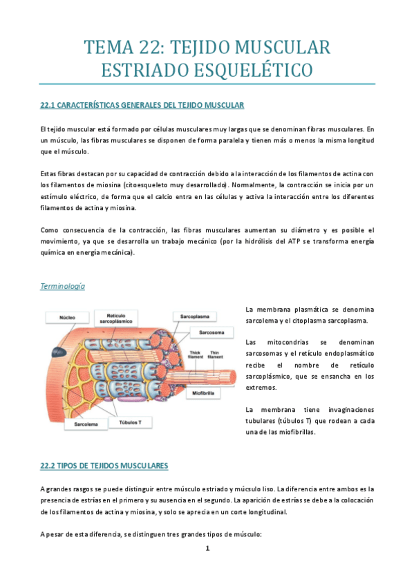 Miniatura del documento TEMA-22.pdf