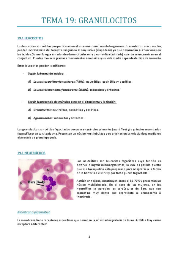 Miniatura del documento TEMA-19.pdf