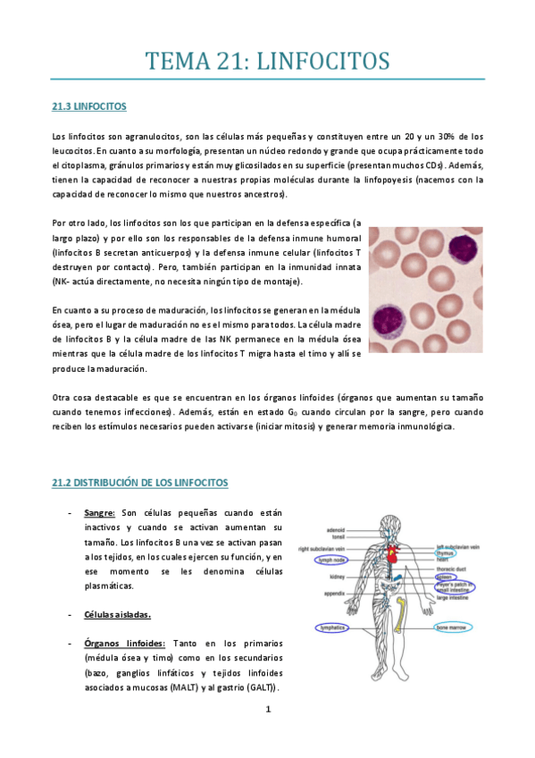 Miniatura del documento TEMA-21.pdf
