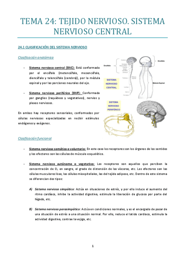 Miniatura del documento TEMA-24.pdf