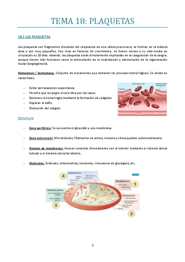 Miniatura del documento TEMA-18.pdf