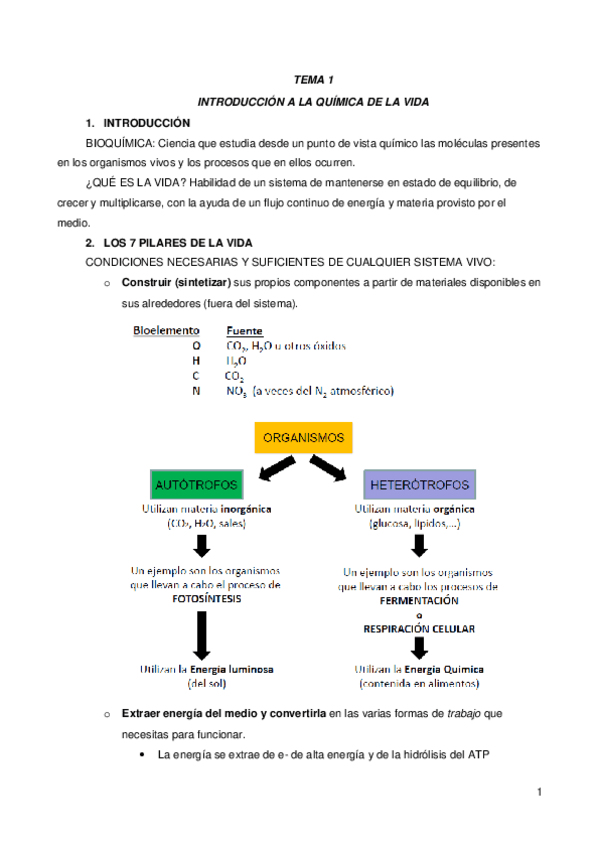 Miniatura del documento Apuntes-limpio.docx