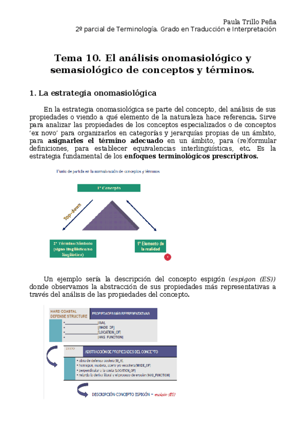 Miniatura del documento Terminología 2º parcial