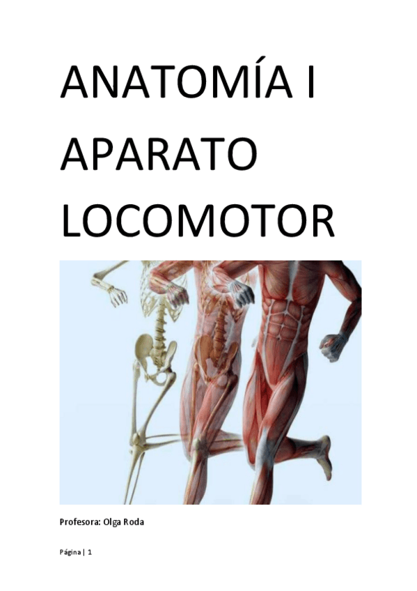 Miniatura del documento ANATOMIA-I.pdf