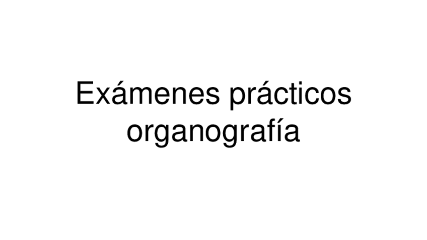 Miniatura del documento Imagenes-organografia.pdf