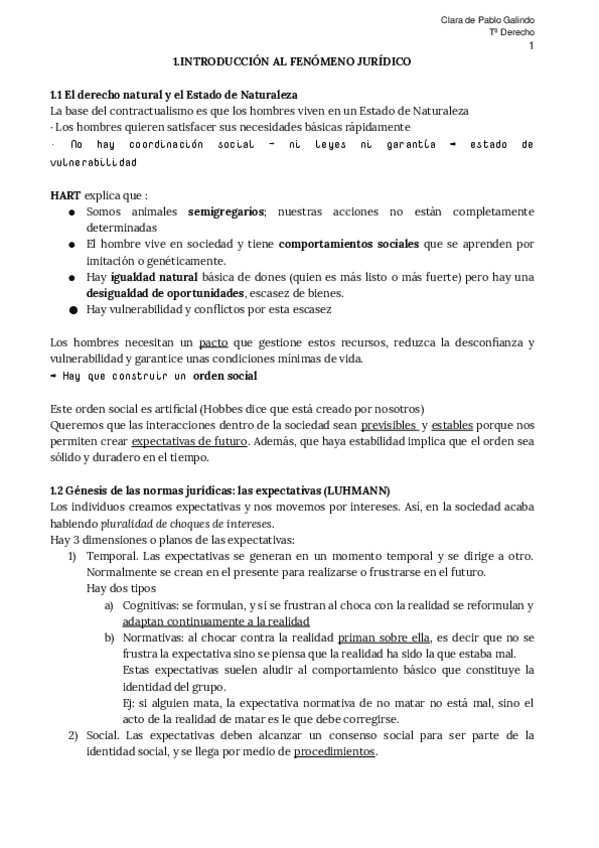 Miniatura del documento Apuntes-definitivos-propios-de-TEORIA-DEL-DERECHO.docx
