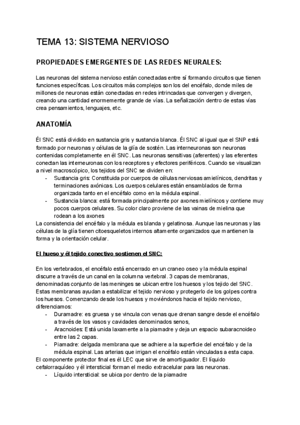 Miniatura del documento TEMA-13-SISTEMA-NERVIOSO.pdf
