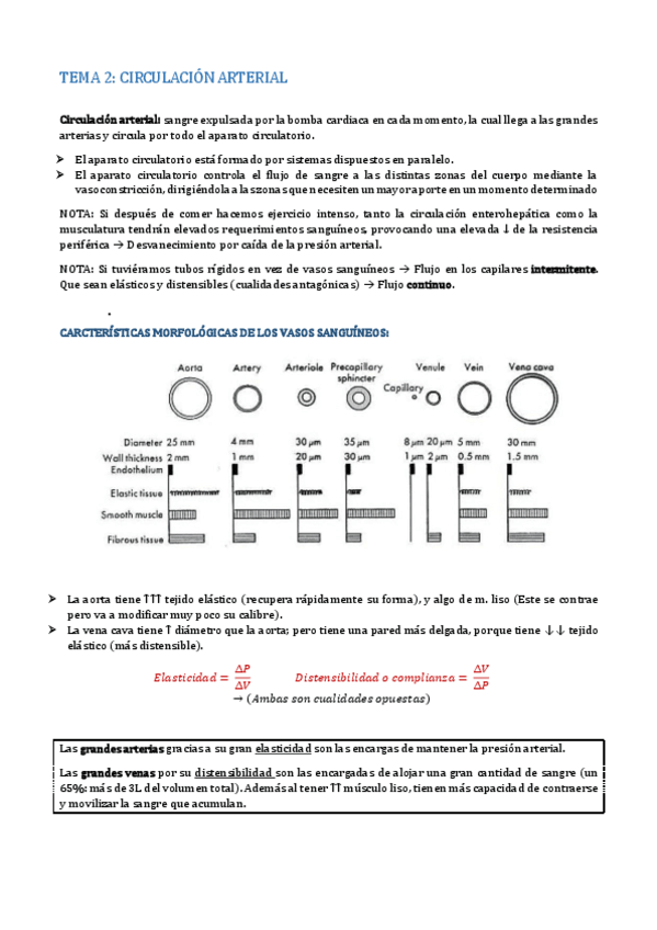 Miniatura del documento TEMA 2.pdf